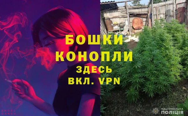 ПСИЛОЦИБИНОВЫЕ ГРИБЫ Верхнеуральск