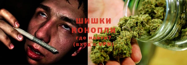 ПСИЛОЦИБИНОВЫЕ ГРИБЫ Верхнеуральск