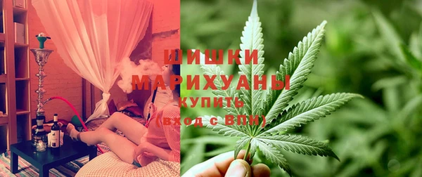 ПСИЛОЦИБИНОВЫЕ ГРИБЫ Верхнеуральск