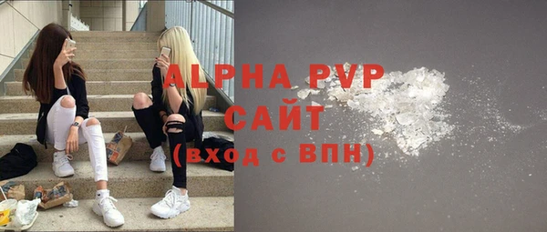 дживик Сатка