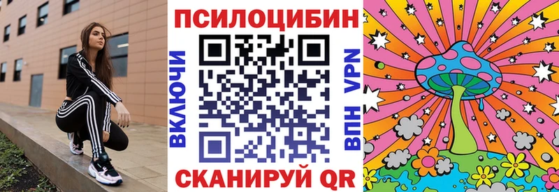 Псилоцибиновые грибы Psilocybine cubensis  наркошоп  Поворино 